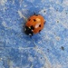 Well spotted! 