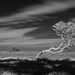 Contours of Solitude by spanner