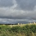 Sunshine and showers......