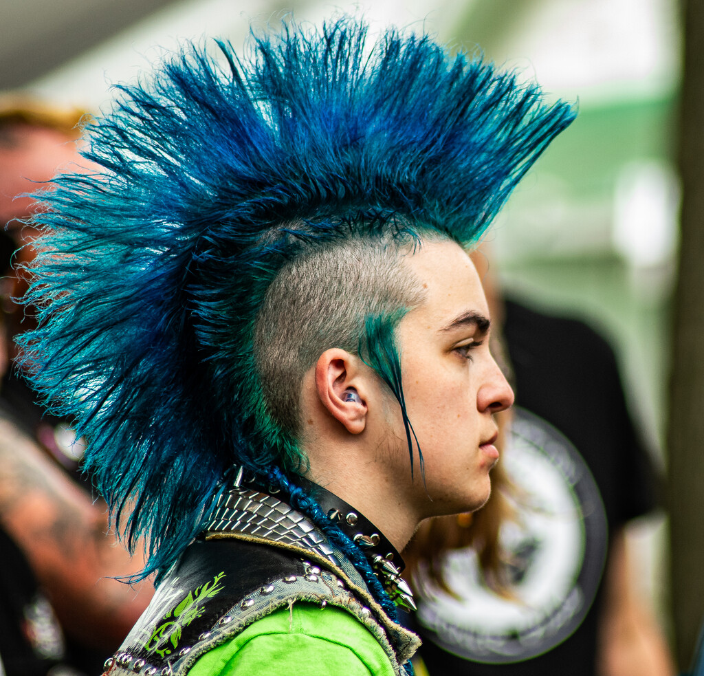 Mohawk-2 by darchibald