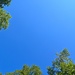 Clear Skys
