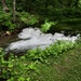 Twin springs