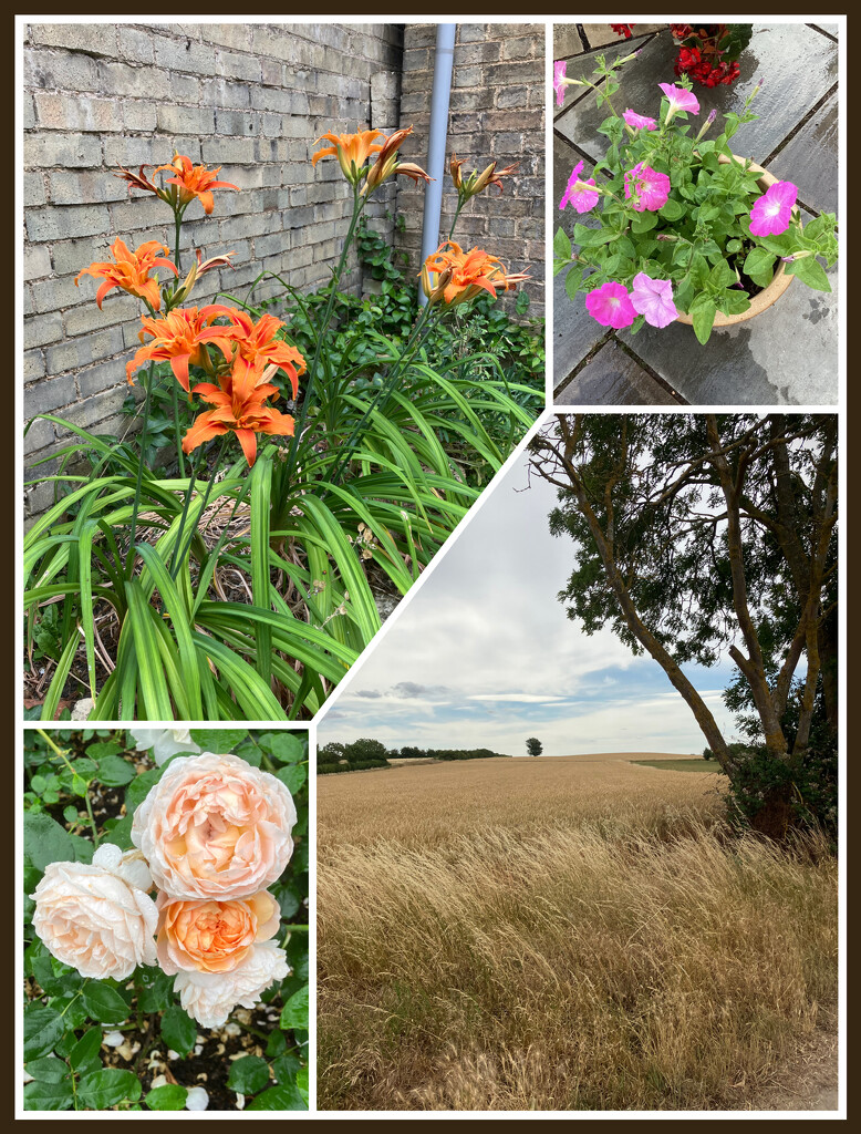 Hotchpotch by foxes37