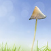 Mini-toadstool by skipt07