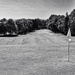 Fairway