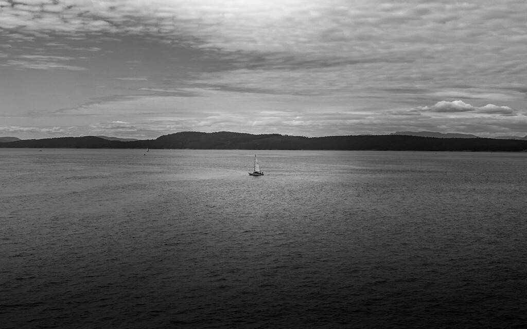 Lone sailboat by cdcook48