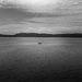 Lone sailboat