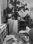10th Jul 2025 - Gosha (I name my plants)