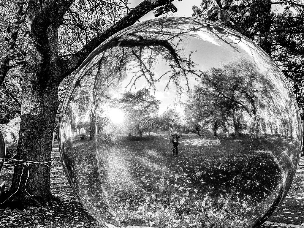 selfie reflection in monochrome by pusspup