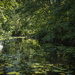 Impressionistic