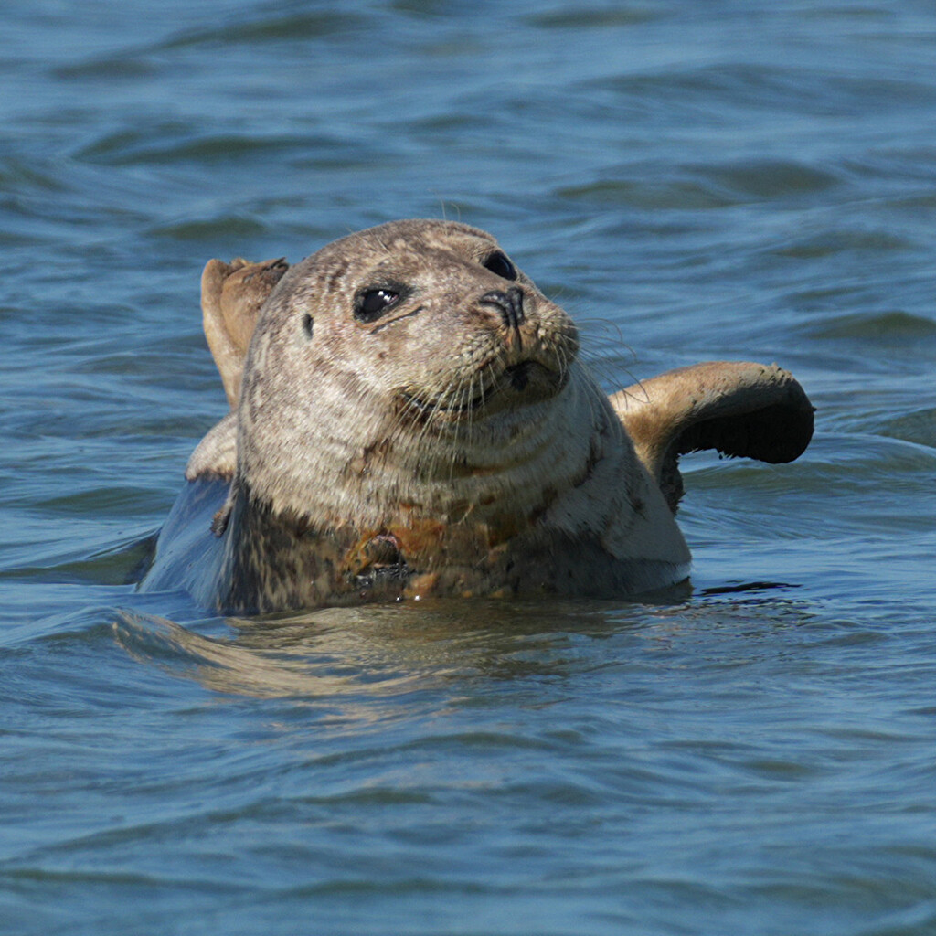 Oh! You're Off Then? Bye Bye! by 30pics4jackiesdiamond
