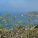 Muir Beach