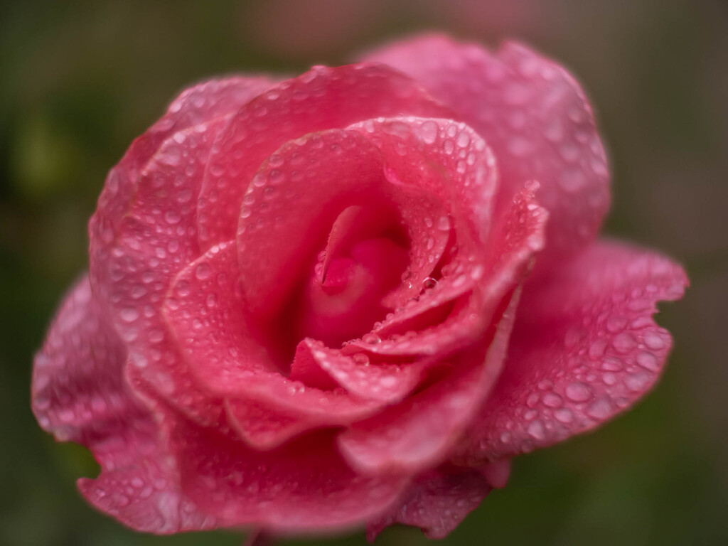 Squint your eyes by haskar