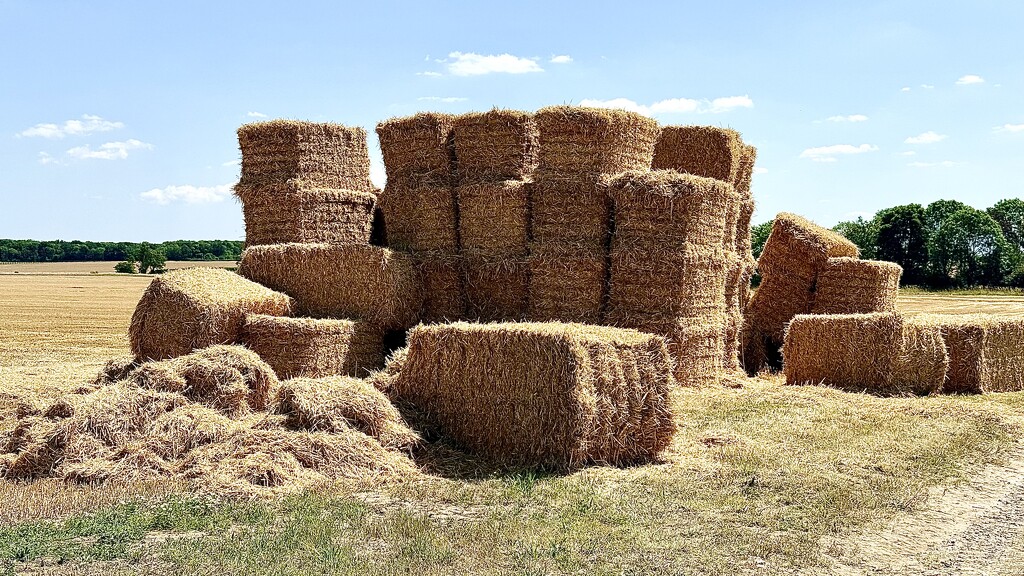 Haystack  by carole_sandford