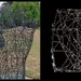 Artist Challenge begins Now -Malevich