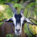 Up Close & Personal  by bluemoon