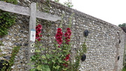 12th Jul 2025 - South Downs Way Walkers