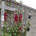 South Downs Way Walkers