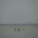 Grey Day
