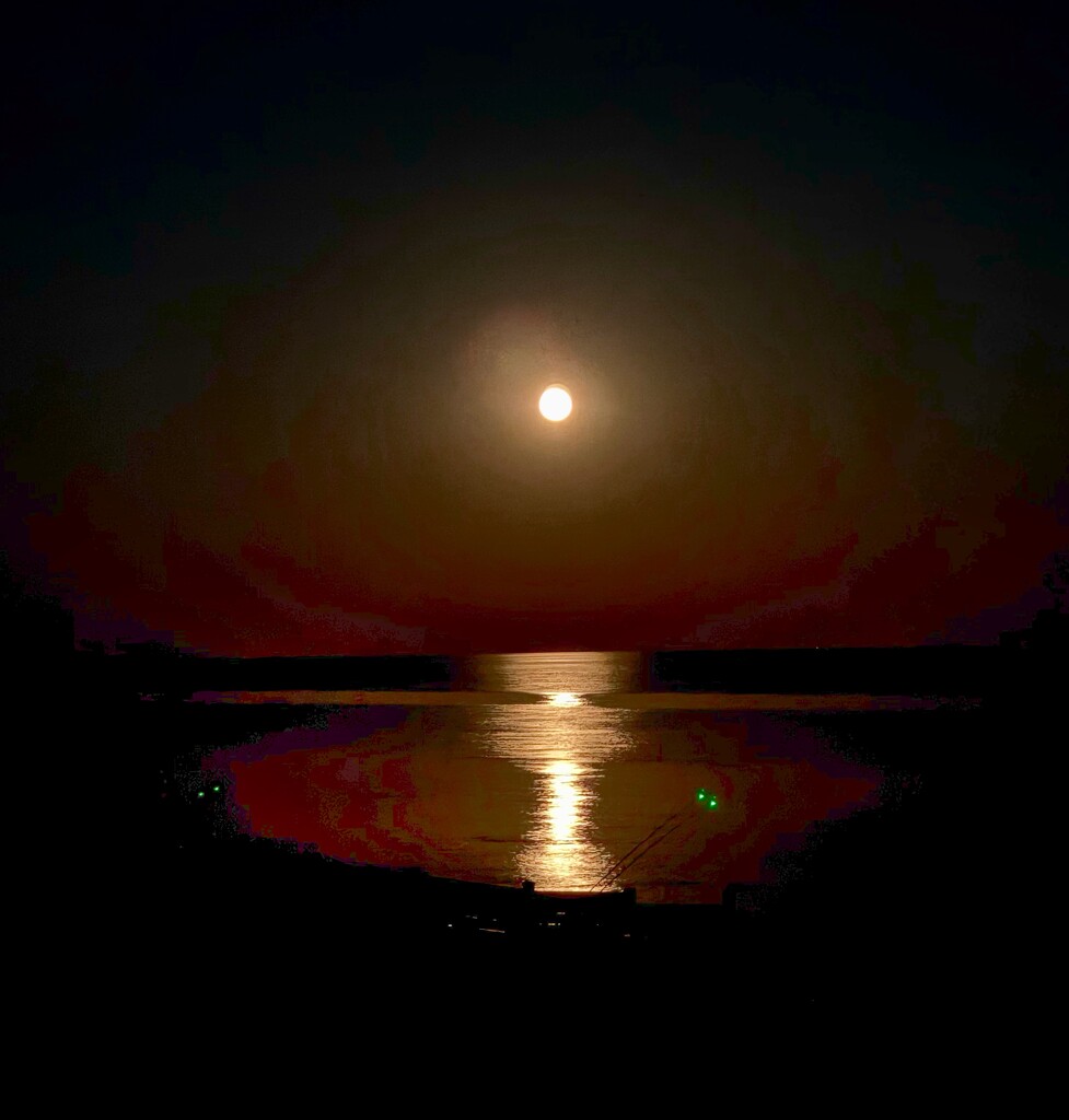 Moonlight by wakelys