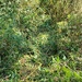 IMG_20250712_101025