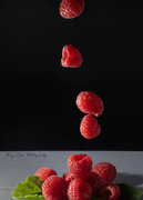 10th Jul 2025 - D a y191