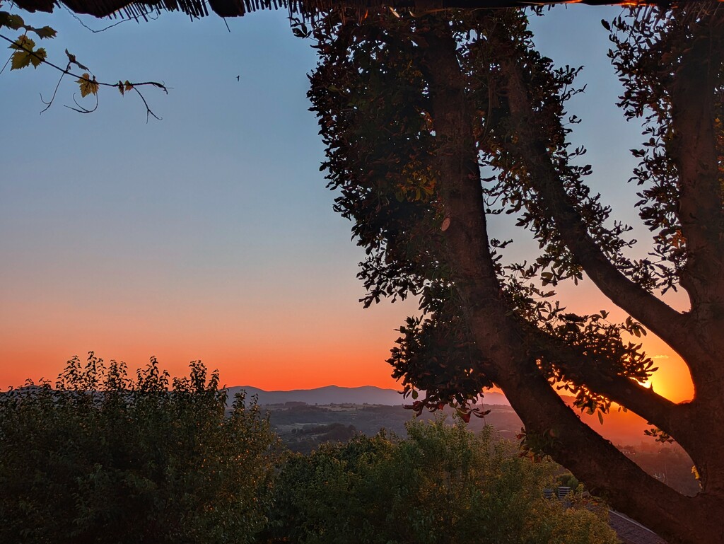 Last sunset view  by boxplayer
