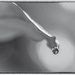 One drop