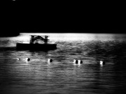 12th Jul 2025 - raft (with picnic table)