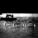 raft (with picnic table)