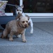 Play Time