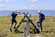 13th Jul 2025 - See Saw Margery Daw
