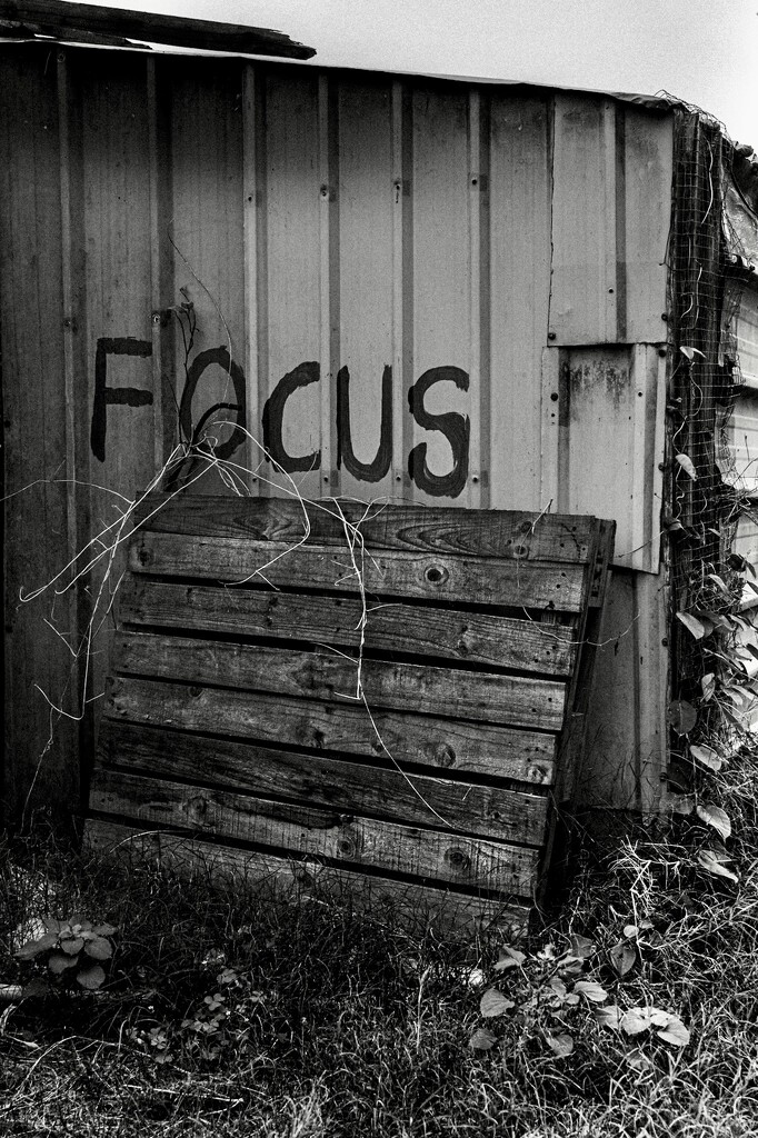 Focus by cocokinetic