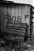 13th Jul 2025 - Focus