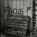 Focus