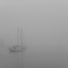 Dense Fog in the Harbor