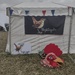 Nightingale stage ELY folk festival 
