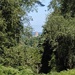 Cathedral view