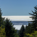 Double Fog Bank