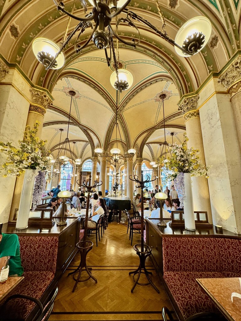 The Café Central by cocobella