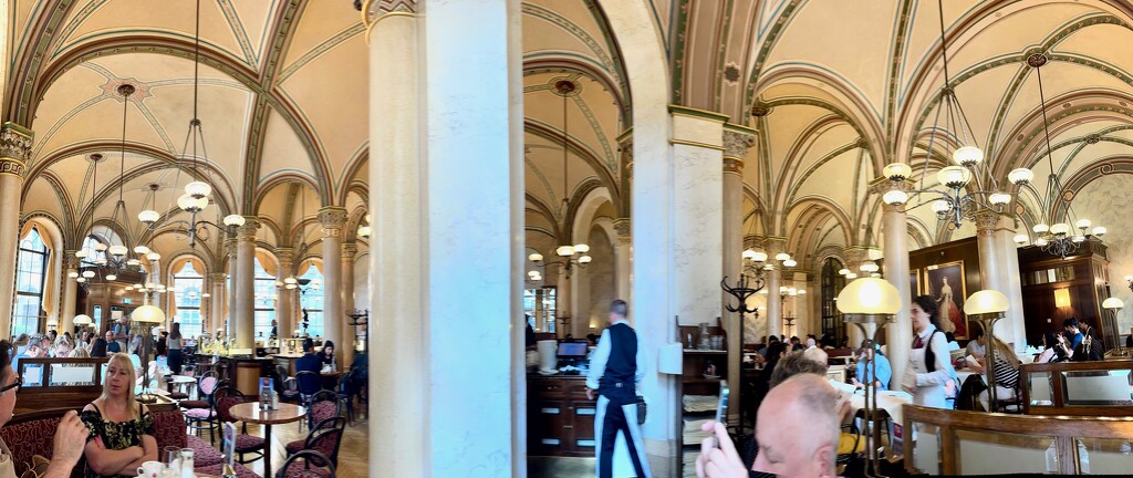Café Central panorama by cocobella
