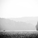 afternoon haze