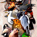Birds inspired by Kazimir Malevich