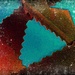 Jagged Abstract