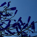 "Dancing Sisters" bottle tree sculpture
