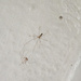 20250711-OM_098248-Edit_365