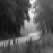A little motion blur...