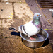 This was how hot it got in Devon last weekend