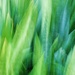 Unfocused 