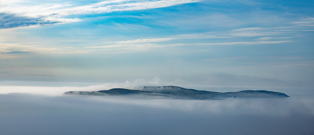 Misty Mousa by lifeat60degrees